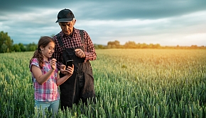Landwirt und Enkeltochter mit Smartphone in Getreidefeld