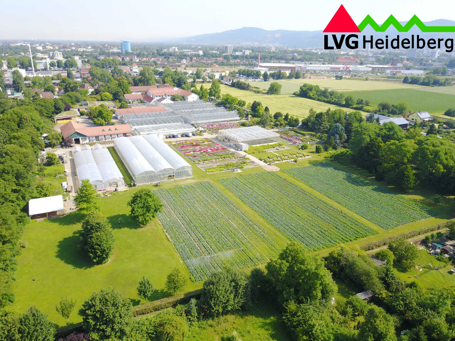 Luftbild der Fachschule Heidelberg.