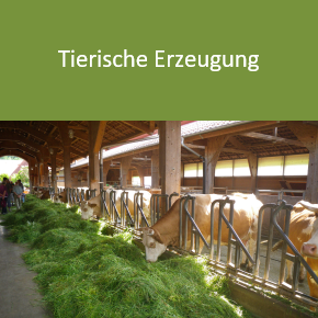 Ökologische Landwirtschaft - Tierische Erzeugung