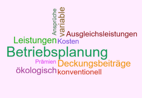 Symbolbild Rosa Blatt - Betriebsplanung