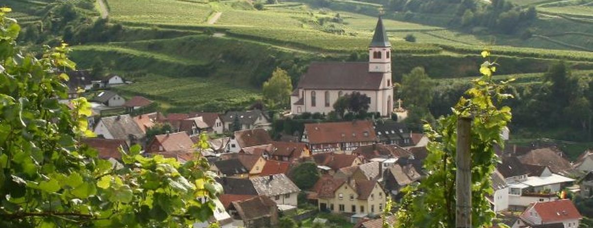 Titelbild_Landinfo_4_2019; Bild: Bild: Kaiserstuhl - Kiechlinsbergen, Foto LRA Emmendingen