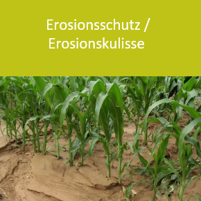 Energie, Natur und Umwelt - Erosionsschutz