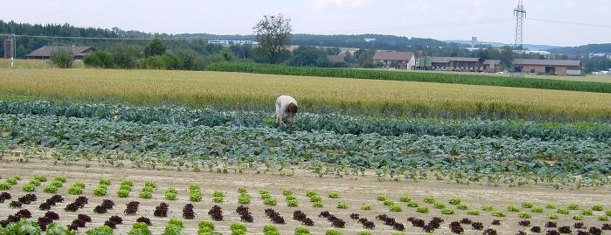 Titelbild_Landinfo_4_2018; Bild: Katrin Läpple