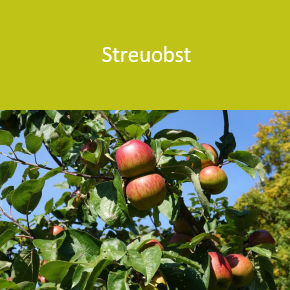 Energie, Natur und Umwelt - Streuobst