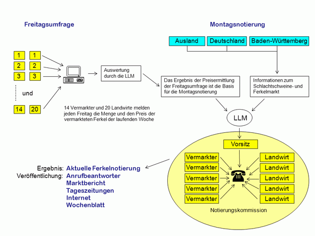 Ablauf Ferkelnotierung