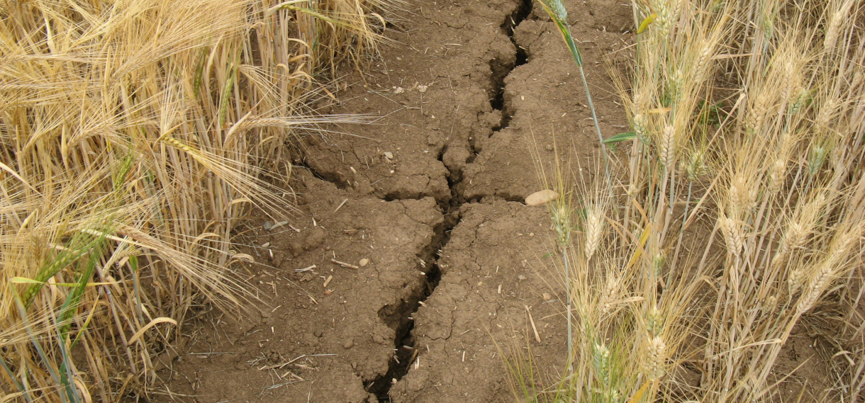 Bildungs- und Beratungswoche - Wasser- zu viel oder zu wenig?