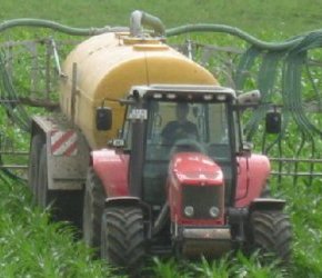 Düngung mit Schleppschlauch im Mais - Hermann Wiest/LEL