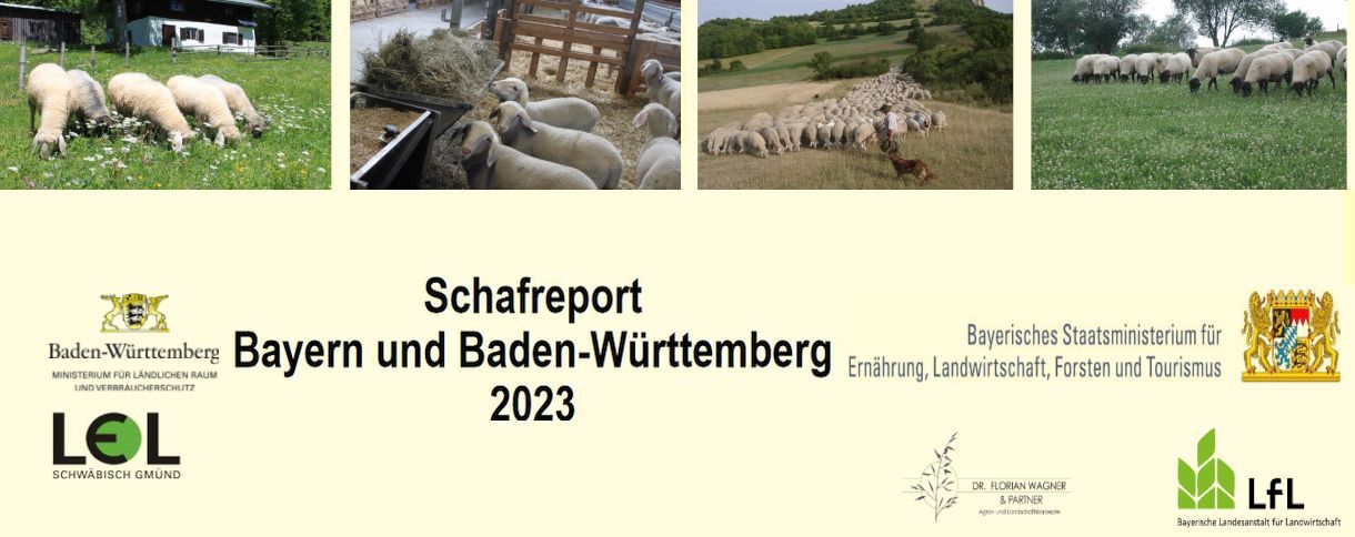 Veröffentichung Schafreport 2023