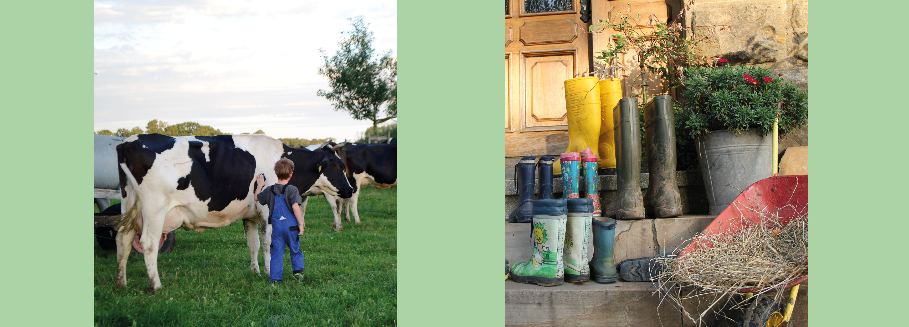 Symbolbilder Soziale Landwirtschaft - Kühe auf der Weide mit Kind; große und kleine Gummistiefel vor einer Haustür - Bilder: Schabel /LEL