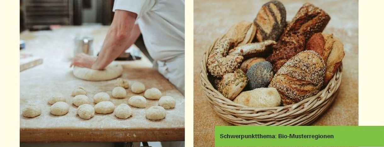 Brot backen, in Korb mit Brötchen