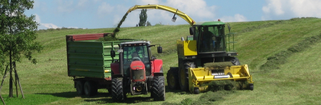 Gras-Silagebereitung