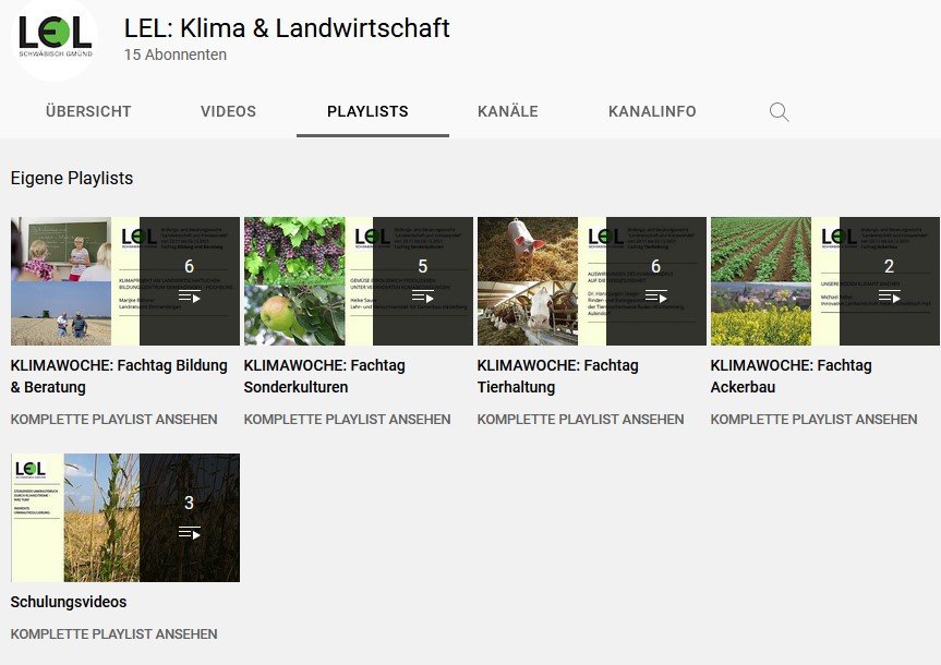 YouTube-Kanal