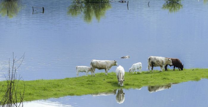 Titelbild_Landinfo_5_2017; Bild:Pixabay Titelbild_Landinfo_5_2017; Bild: Pixabay