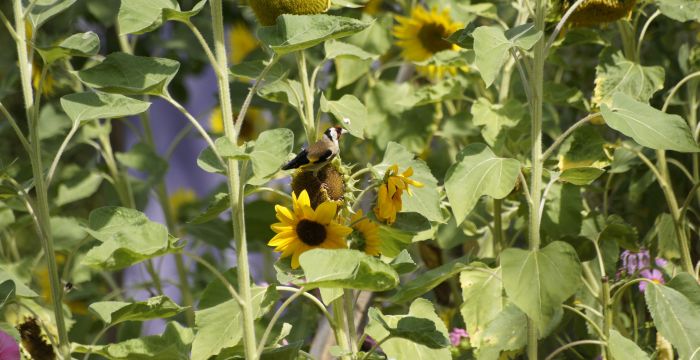 Titelbild_Landinfo_3_2019; Bild: Max Mezger Titelbild_Landinfo_3_2019; Bild: Max Mezger