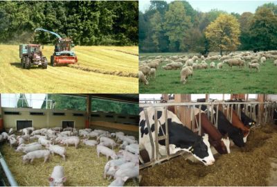 Buchführungsergebnisse Heft 2007/2008 Titelbild Buchführungsergebnisse Heft 2007/2008 Titelbild