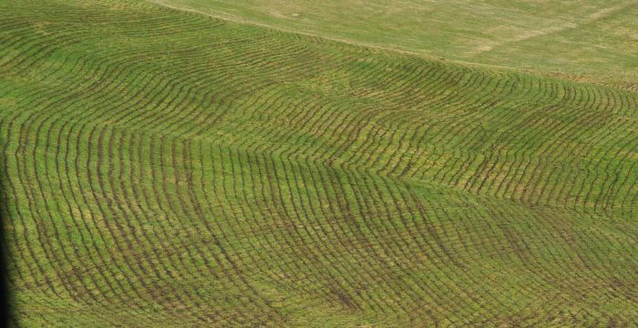 Titelbild_Landinfo_5_2018; Bild: Prof. Dr. Martin Elsäßer