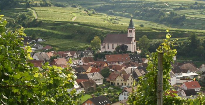 Titelbild_Landinfo_4_2019; Bild: Kaiserstuhl - Kiechlinsbergen, Foto LRA Emmendingen Titelbild_Landinfo_4_2019; Bild: Kaiserstuhl - Kiechlinsbergen, Foto LRA Emmendingen