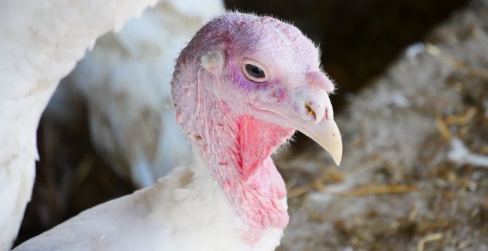 Titelbild_Landinfo_1_2020; Bild: Meike Löhr Titelbild_Landinfo_1_2020; Bild: Meike Löhr