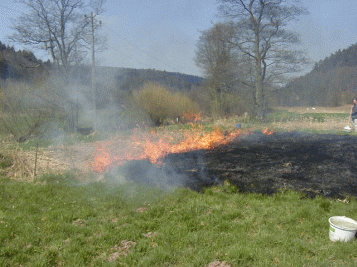 Foto: H. Weeber, ALLB Bruchsal Foto: H. Weeber, ALLB Bruchsal