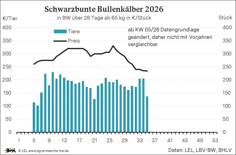 Bilder anzeigen