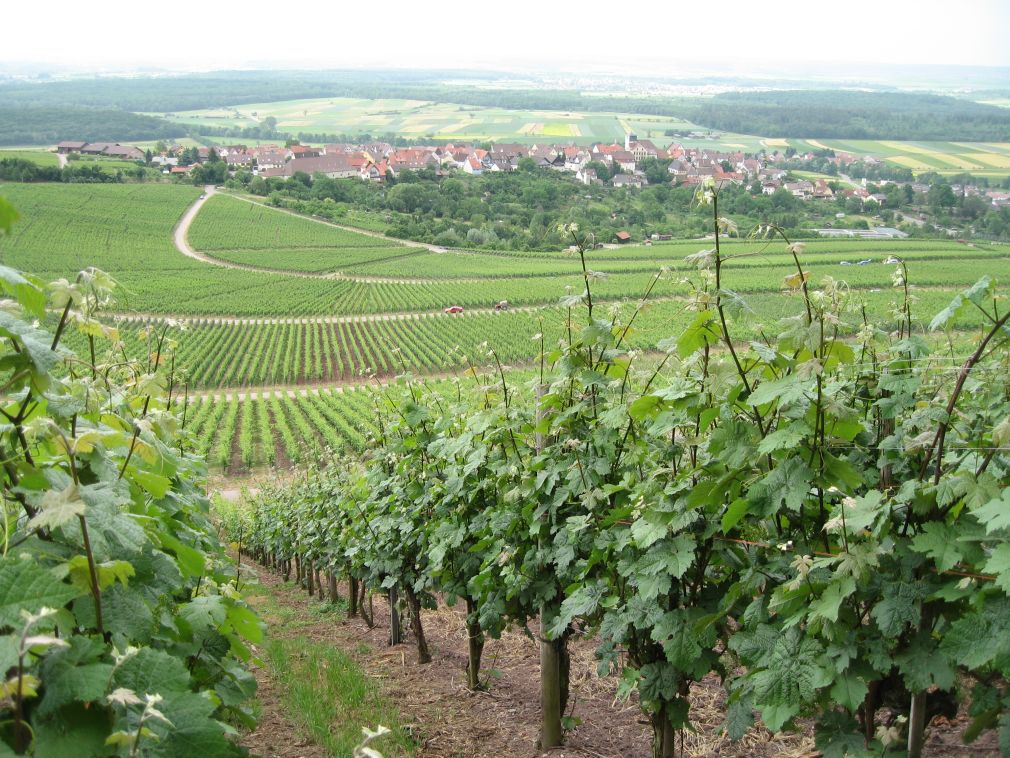 Weinberg