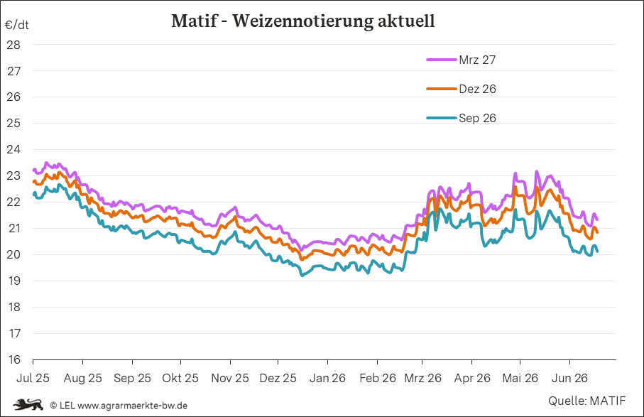 Bilder anzeigen