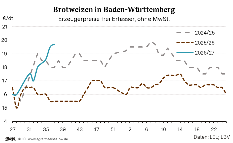 Bilder anzeigen