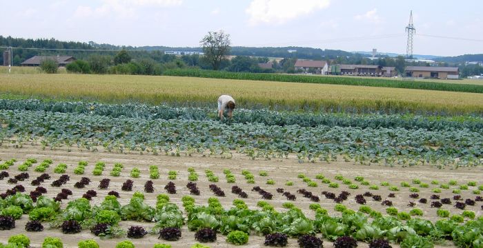 Titelbild_Landinfo_4_2018
