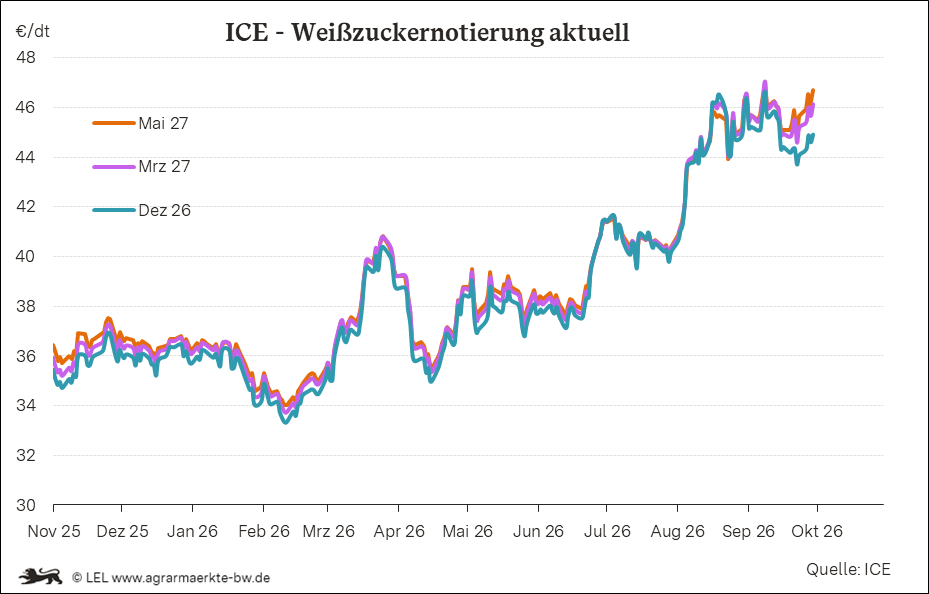 Bilder anzeigen