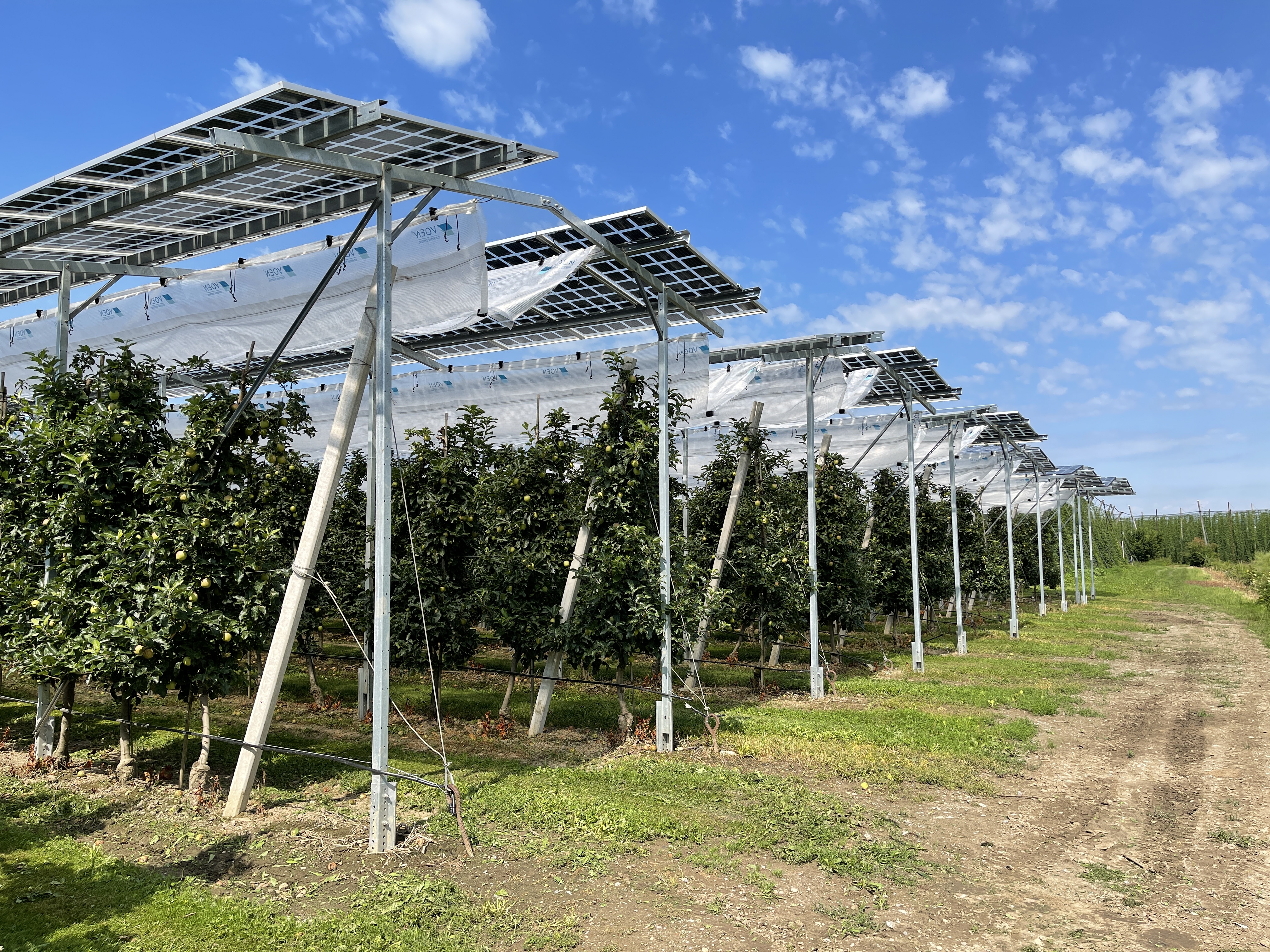 Agri-PV