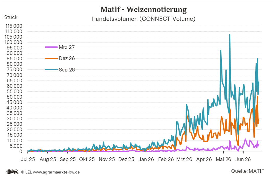 Bilder anzeigen