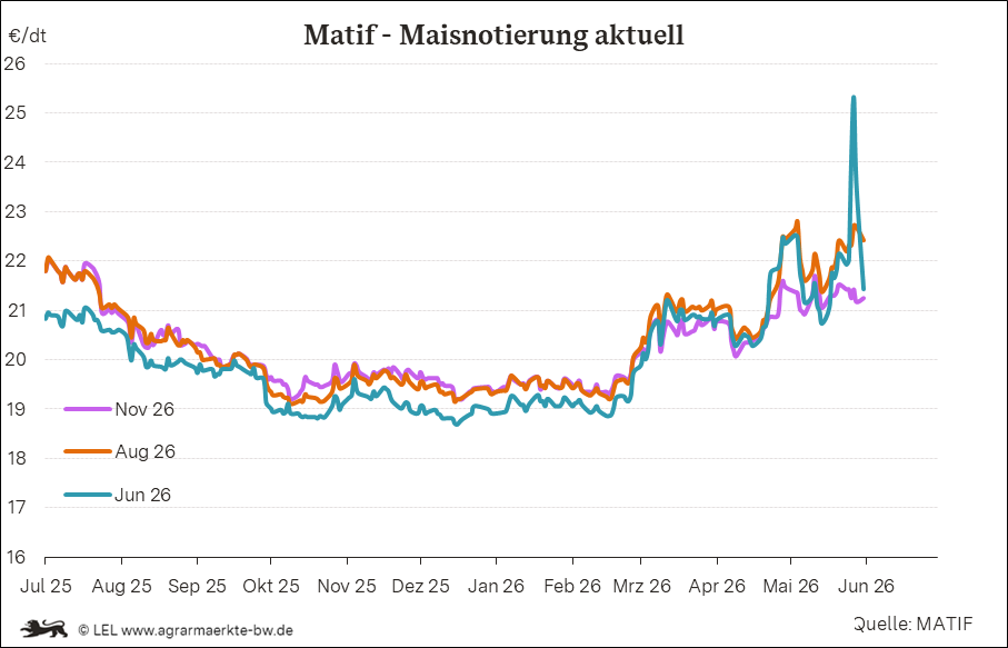 Bilder anzeigen