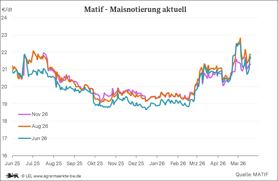 Bilder anzeigen