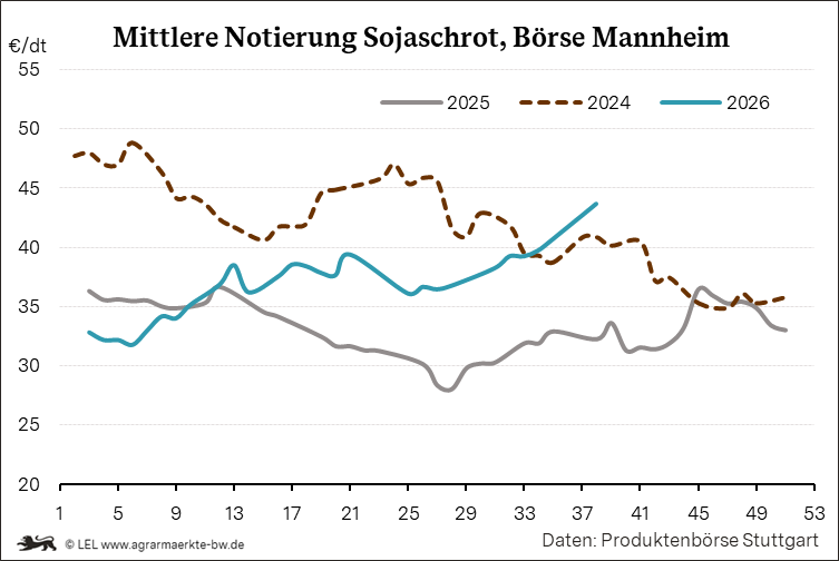 Bilder anzeigen