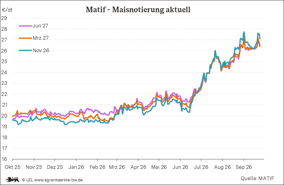 Bilder anzeigen