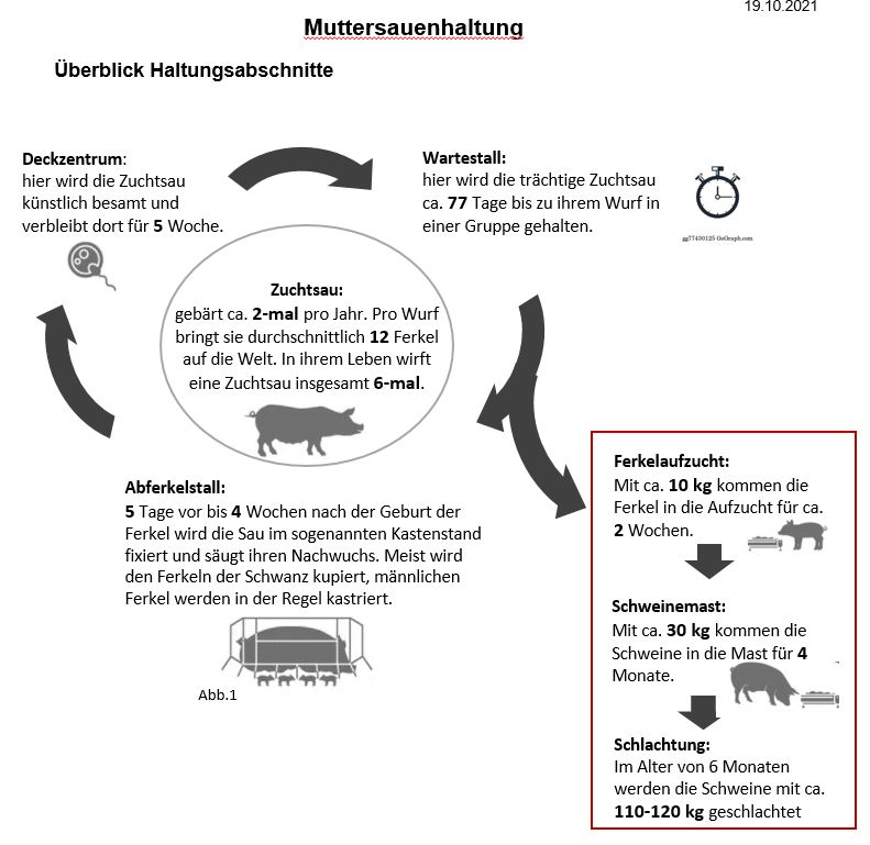 Arbeitsblatt Muttersauenhaltung aus Basismodul.JPG
