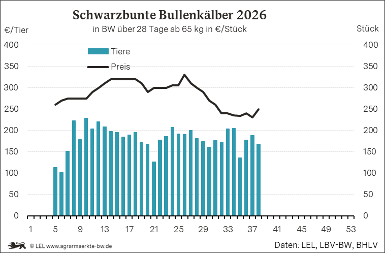 Bilder anzeigen