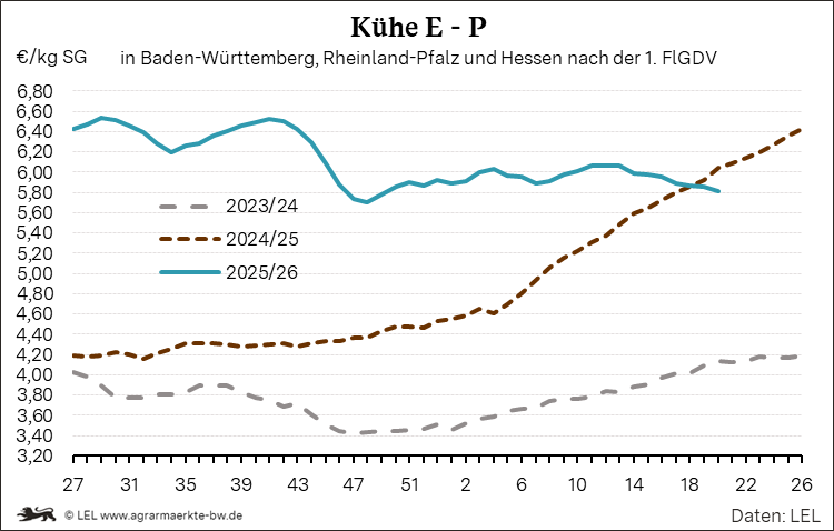 Bilder anzeigen