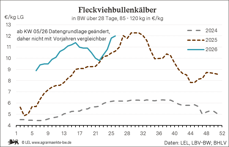 Bilder anzeigen
