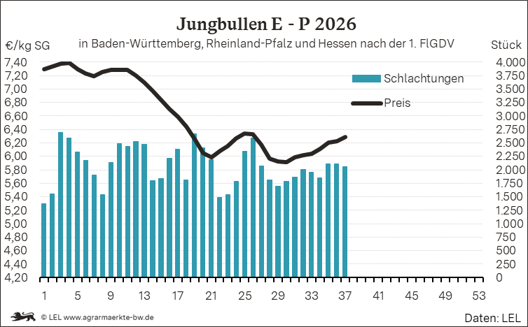 Bilder anzeigen
