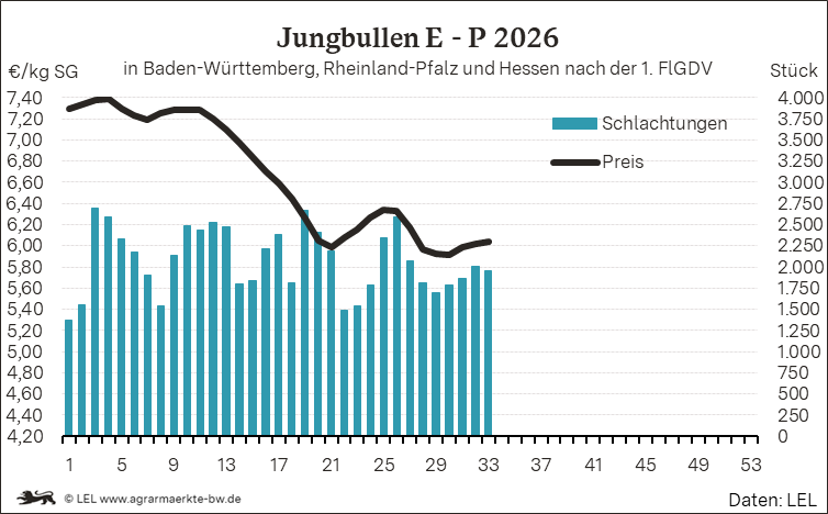 Bilder anzeigen