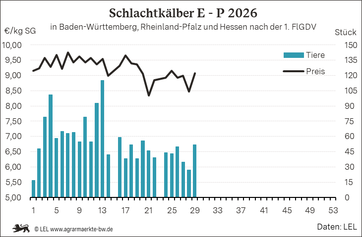 Bilder anzeigen