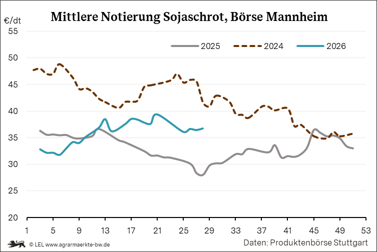 Bilder anzeigen