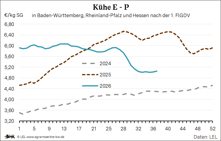 Bilder anzeigen