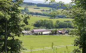 Ökologische Landwirtschaft - Betriebe