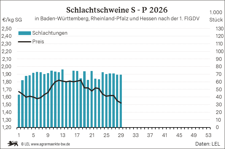 Bilder anzeigen