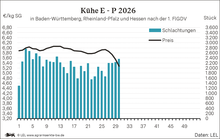 Bilder anzeigen