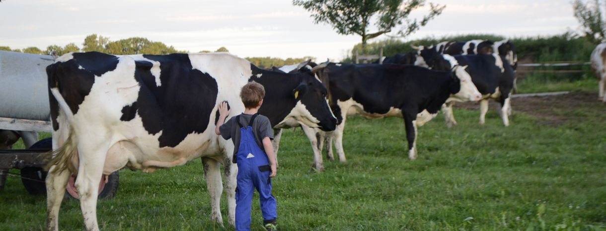 Titelbild_Landinfo_1_2025_Junge mit Kuh auf der Weide