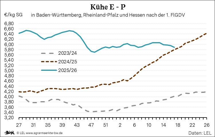 Bilder anzeigen