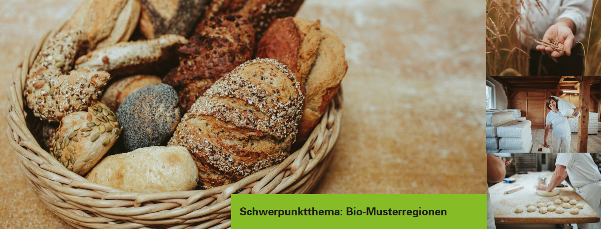 Titelbild Landinfo  Brötchen im Korb